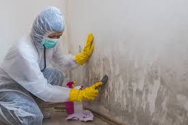 Reliable State Line, PA Mold Inspection Solutions